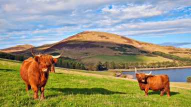 Best Things to Do in the North-East of Scotland