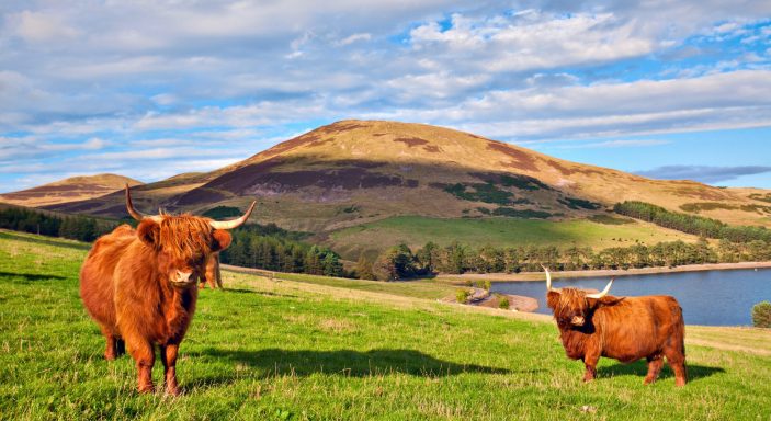 Best Things to Do in the North-East of Scotland