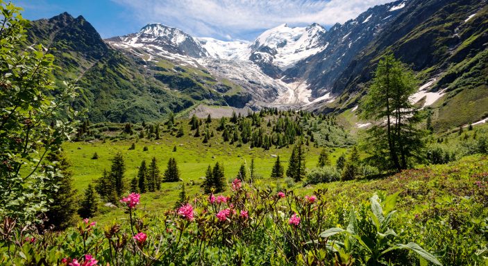 What to Do in the Grand Est Region of France