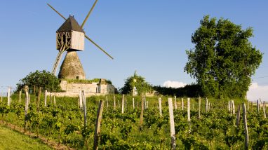 Mill in the countryside