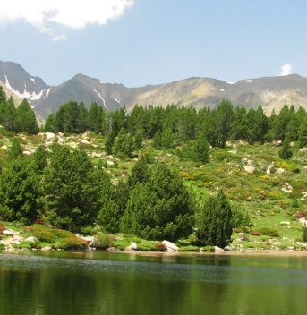 Lac Pyrénées Orientales