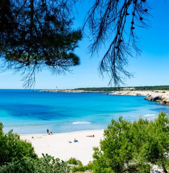 Camping avec vue sur la Côte d'Azur