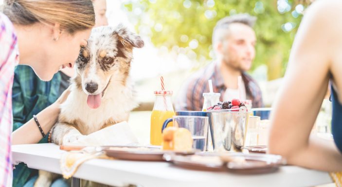 Happy friends doing breakfast brunch meal in nature with home pet