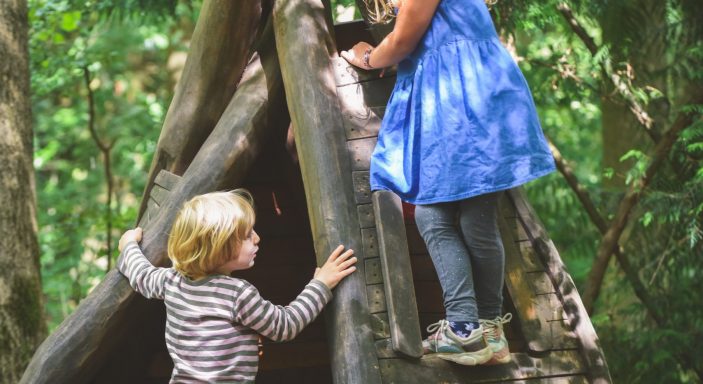 Des enfants apprennent à construire une cabane dans les bois