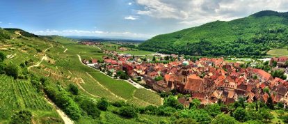View of Kaysersberg, vineyards and mountains, Alsace, Grand Est
